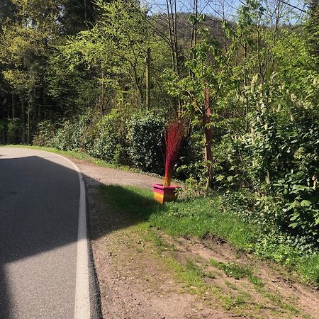 Bed and Breakfast Haus 3 Birken Ramberg Exterior foto
